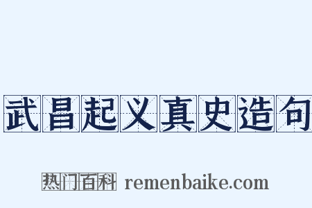 武昌起义真史造句是什么意思的图片